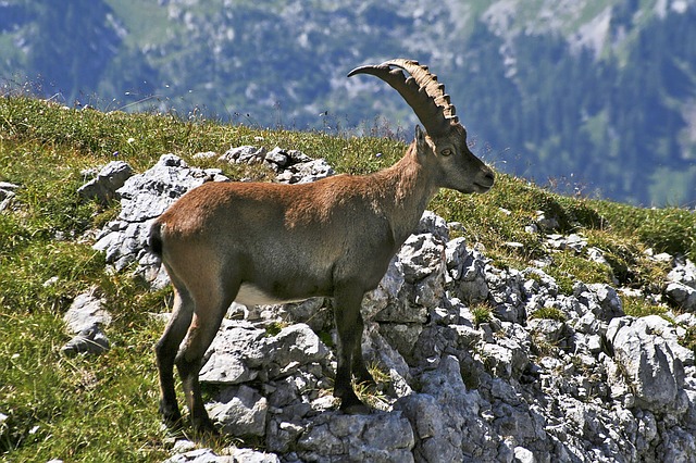 parque-nacional-berchtesgaden