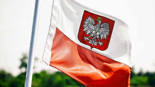 El idioma polaco es similar al alemán?