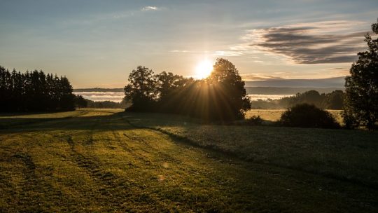 El agroglifo de Ammersee en Alemania