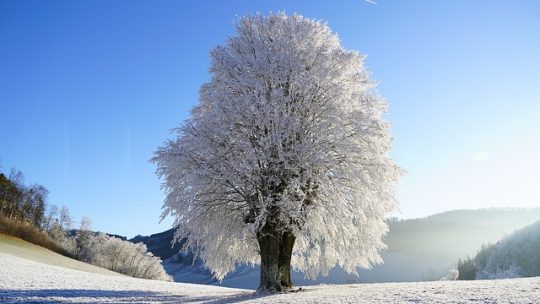 Cuándo empieza el invierno en Alemania