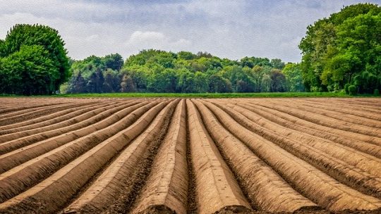 Agricultura en Alemania en picada tras la pandemia