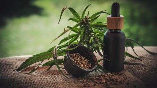 CBD: la nueva moda